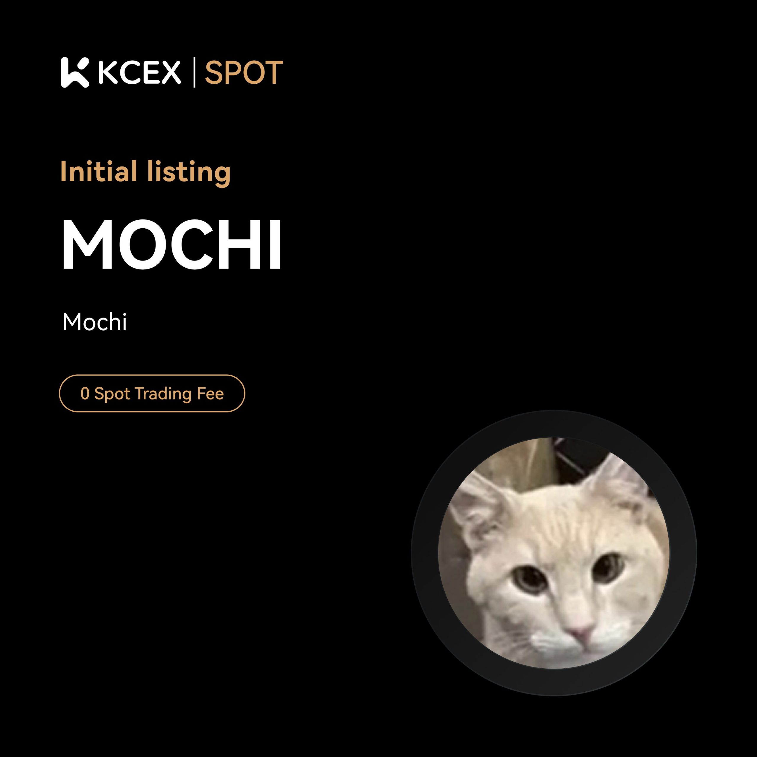 لیست شدن توکنهای MOCHI و TRUSTMEBRO در بیست و سوم اکتبر ۲۰۲۵ بر روی صرافی کی سی ای ایکس