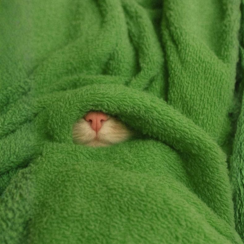 افزایش سود پورتفولیو کاربران کی سی ای ایکس در اکتبر ۲۰۲۵