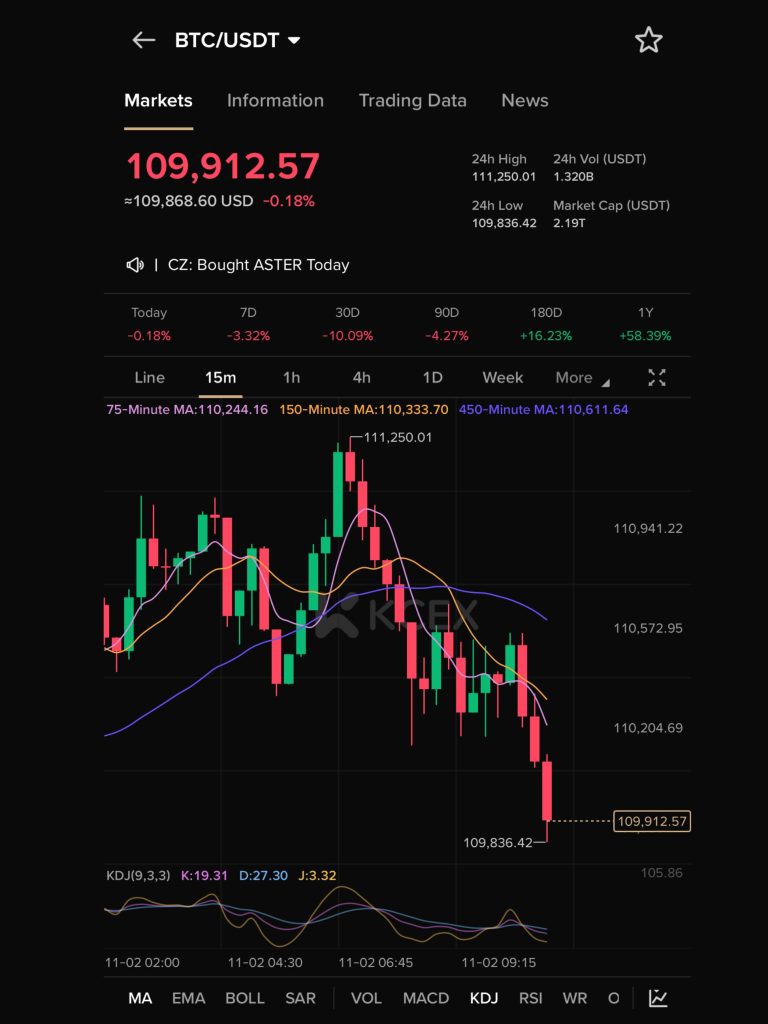 افت قیمت بیت‌کوین به زیر ۱۱۰ هزار دلار در تاریخ ۴ نوامبر ۲۰۲۵