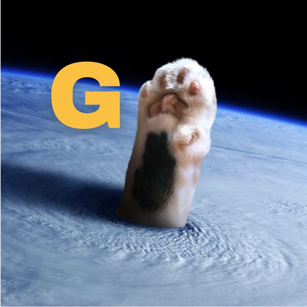 دعوتنامه معاملاتی GMeow در صرافی کی سی ای ایکس