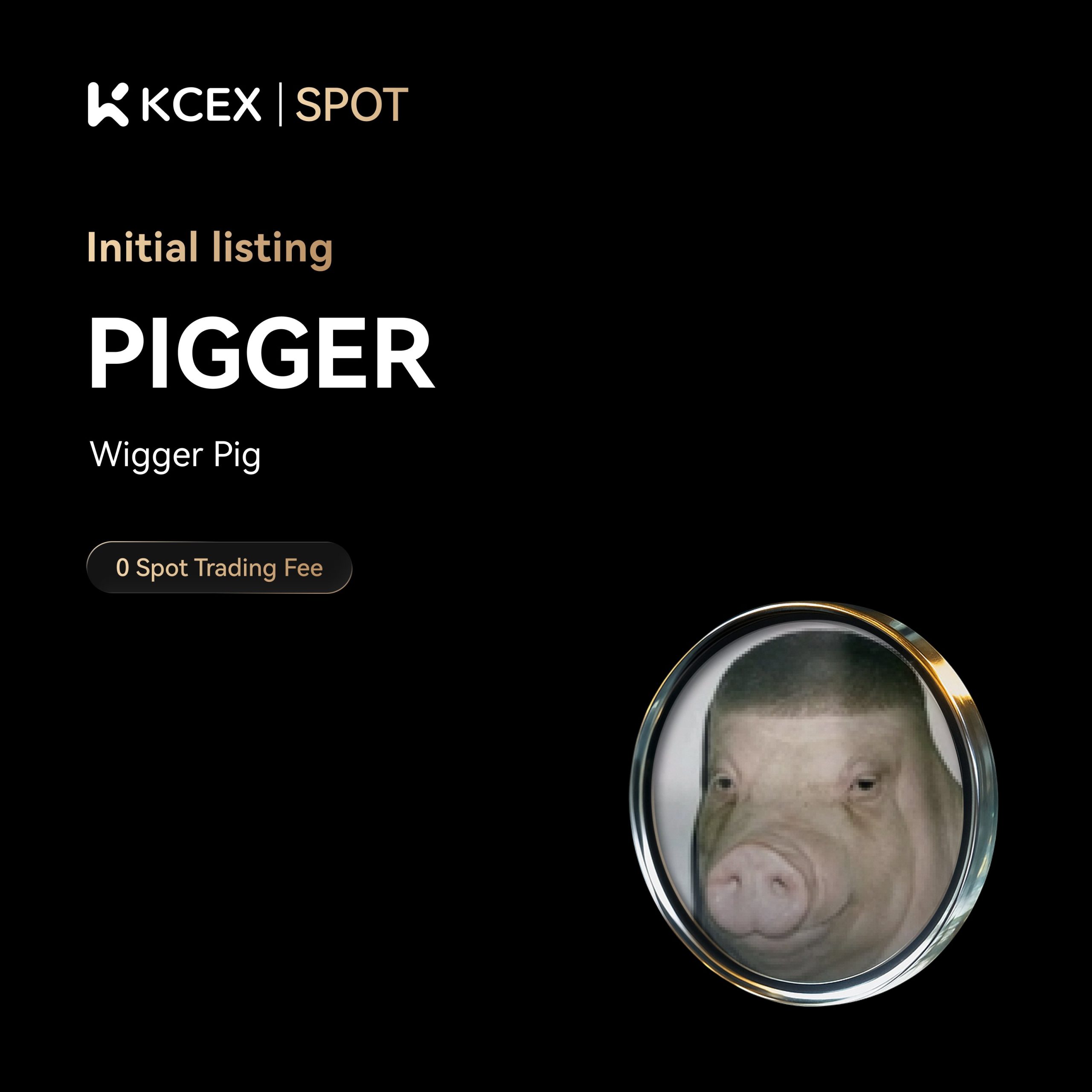لیست شدن توکن PIGGER در صرافی کی سی ای ایکس در ابان ۱۴۰۴