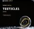 لیست شدن توکن TESTICLE1 در بازار اسپات صرافی کی سی ای ایکس در دسامبر ۲۰۲۵
