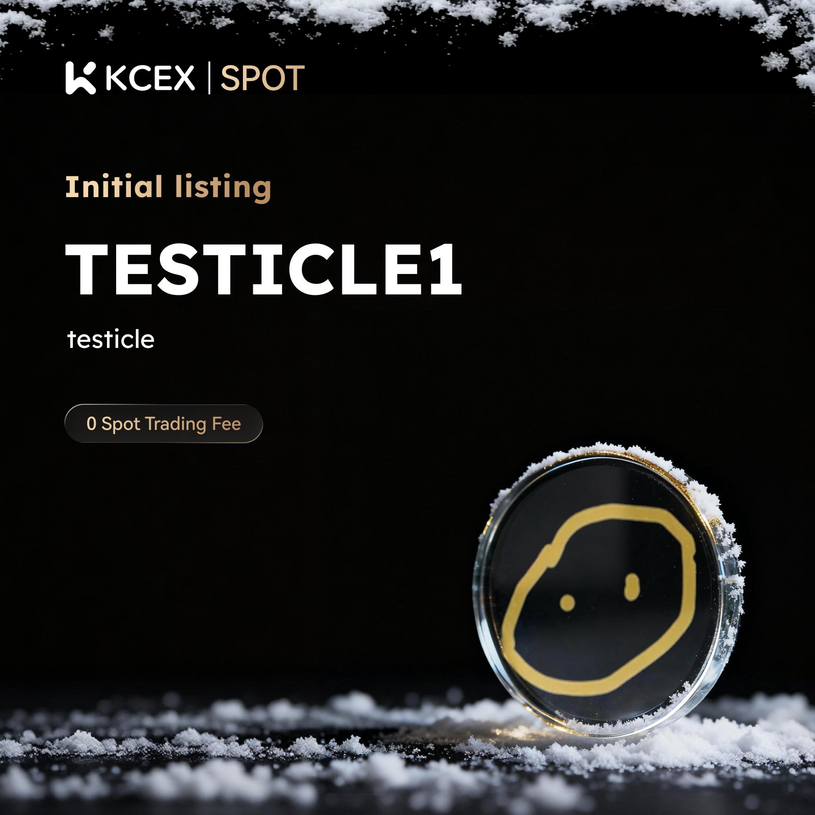 لیست شدن توکن TESTICLE1 در بازار اسپات صرافی کی سی ای ایکس در دسامبر ۲۰۲۵