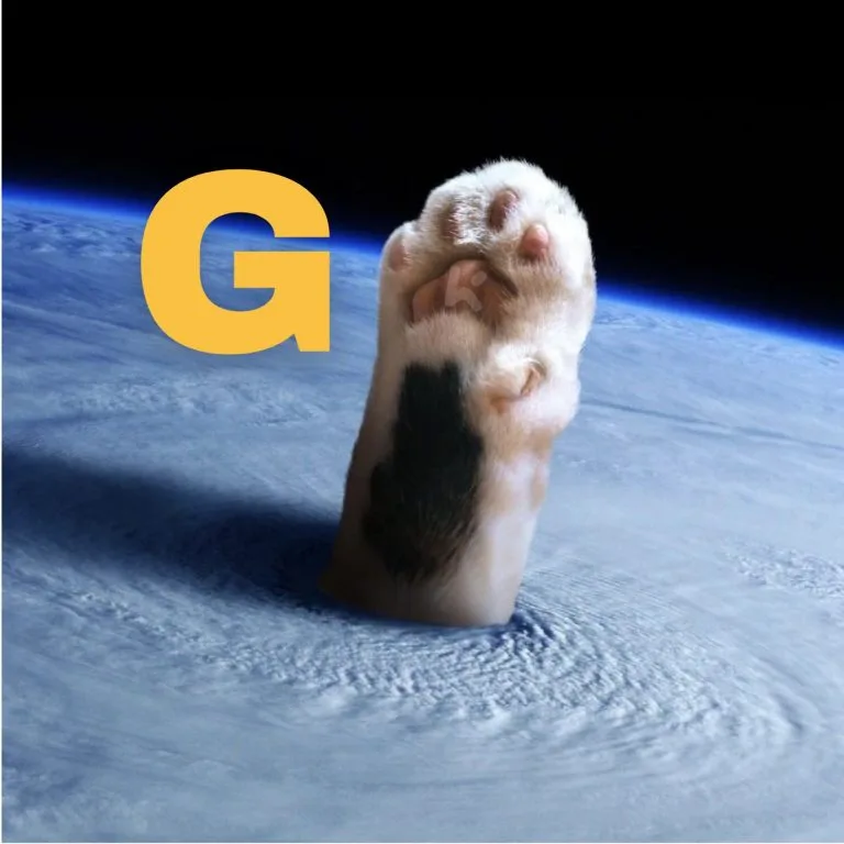 هدفهای معاملاتی GMeow در ۴ نوامبر ۲۰۲۵