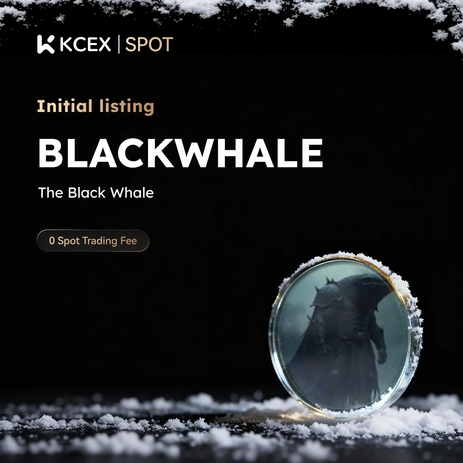 فهرست شدن توکن BLACKWHALE در ۳۰ دسامبر ۲۰۲۵ برای معاملات اسپات کی سی ای ایکس