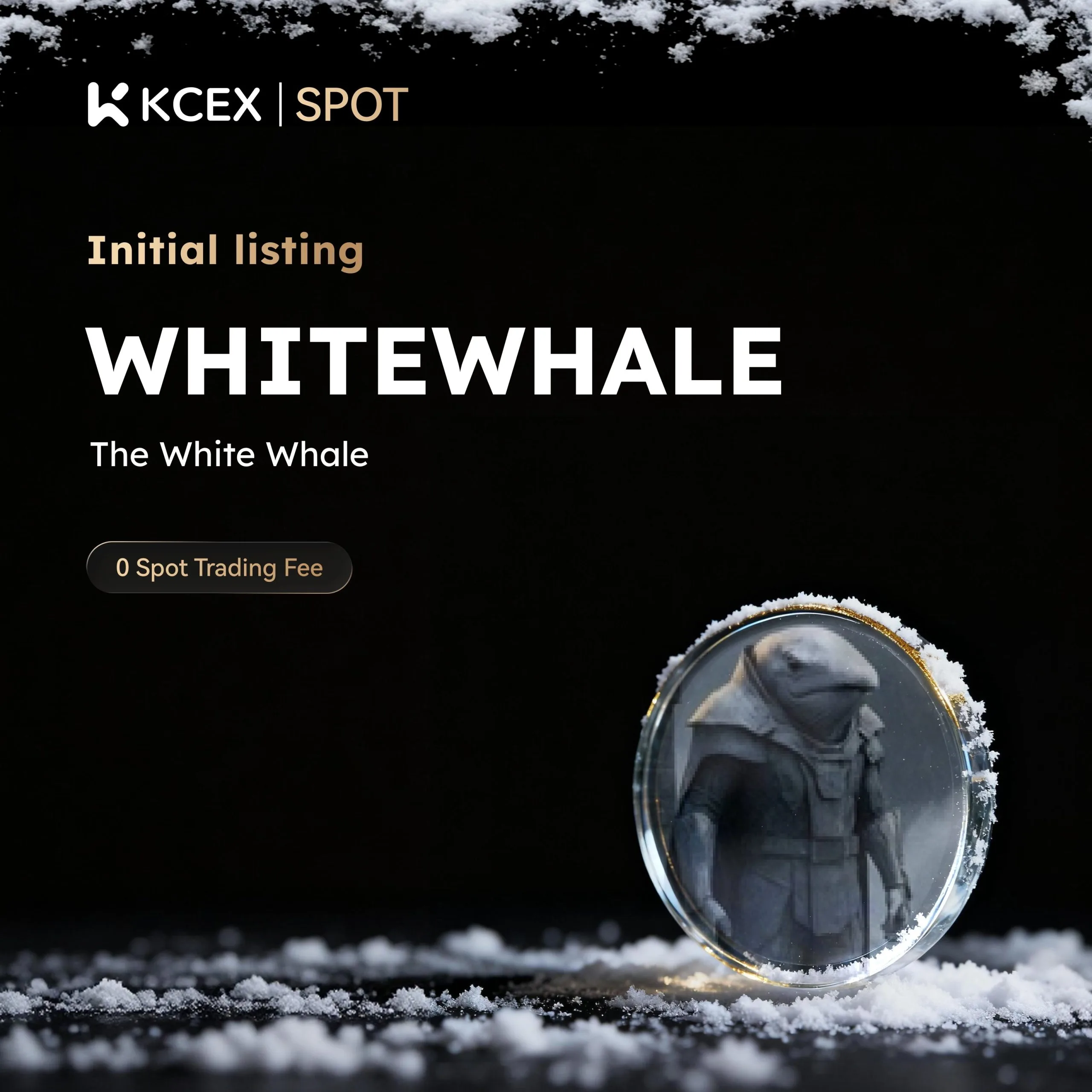 توکن WHITEWHALE در ۶ دسامبر به بازار اسپات کی سی ای ایکس افزوده شد