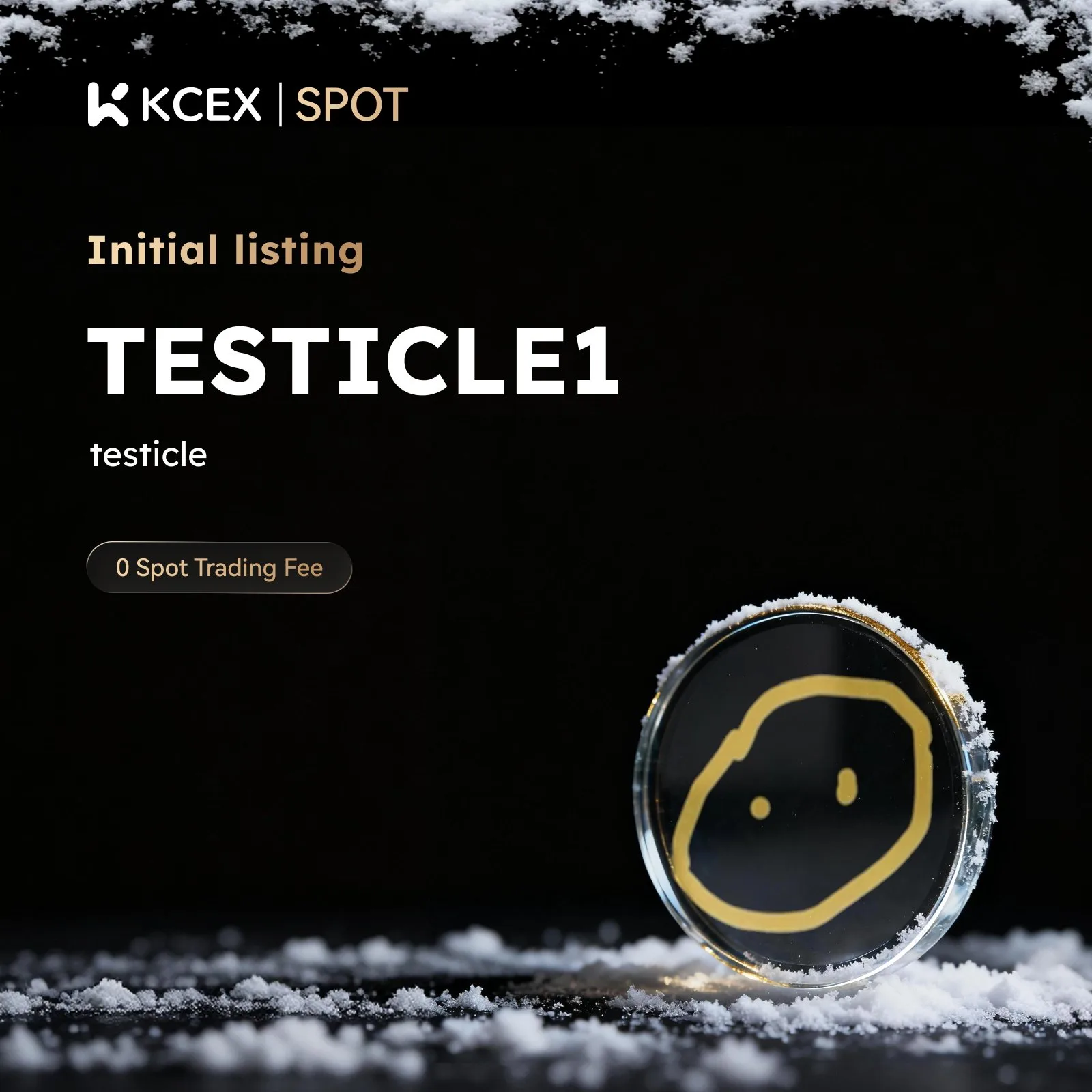 توکن TESTICLE1 در ۲۵ دسامبر ۲۰۲۵ به بازار کی سی ای ایکس اضافه شد