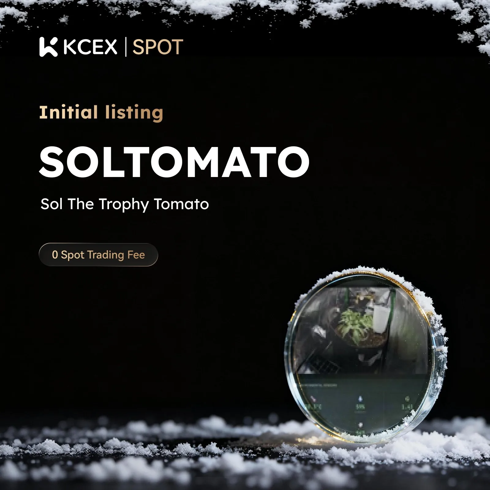 توکن SOLTOMATO در ۷ ژانویه ۲۰۲۶ به بازار اسپات کی سی ای ایکس اضافه شد