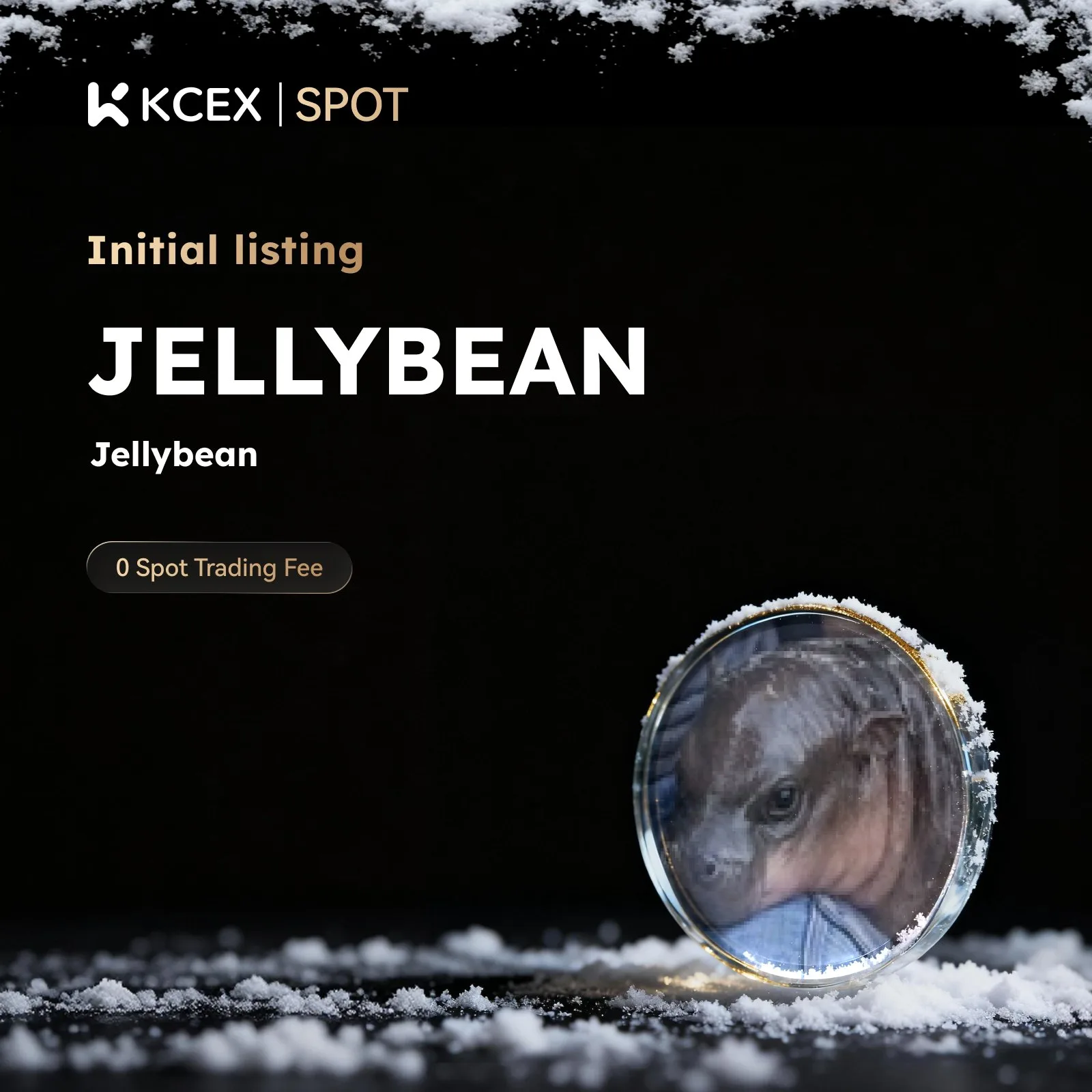توکن JELLYBEAN در ۲۷ فوریه به بازار کی سی ای ایکس افزوده شد